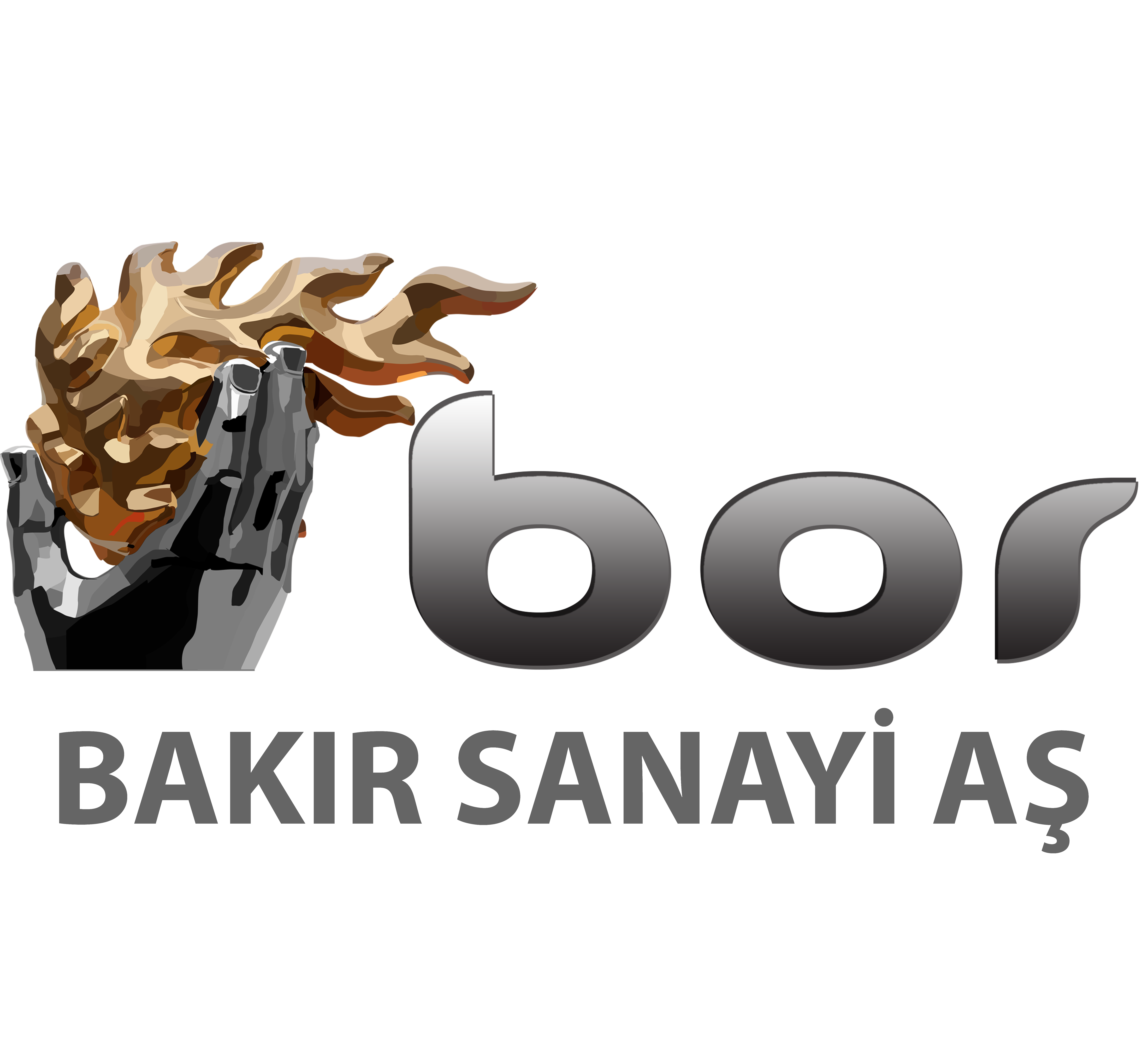 BOR BAKIR SANAYİİ A.Ş.